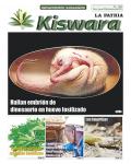Ecológico Kiswara
