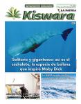 Ecológico Kiswara